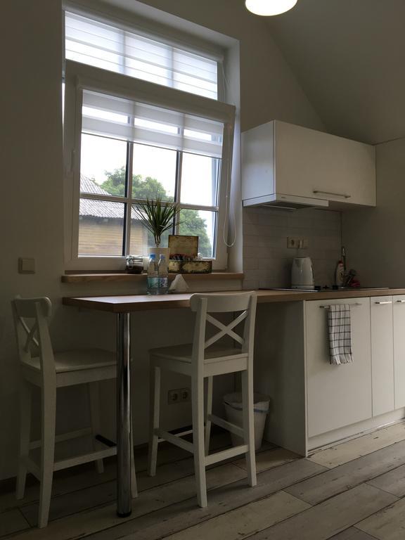 Inga Vacation House Ντρουσκινινκάι Εξωτερικό φωτογραφία